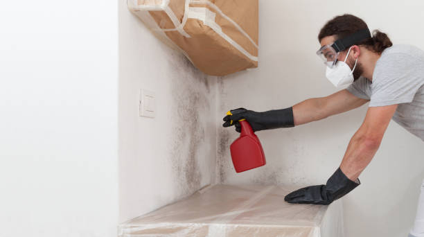 Professional Crawl Space Mold Remediation technician working in Eaton, CO
